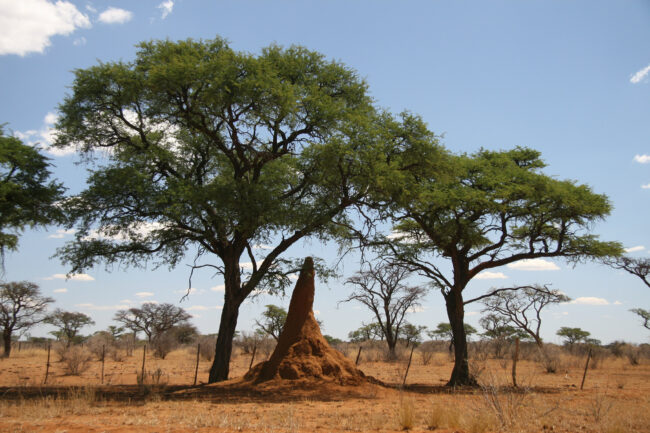Landschaft Ralf Leubner Foto Film Art Afrika Namibia